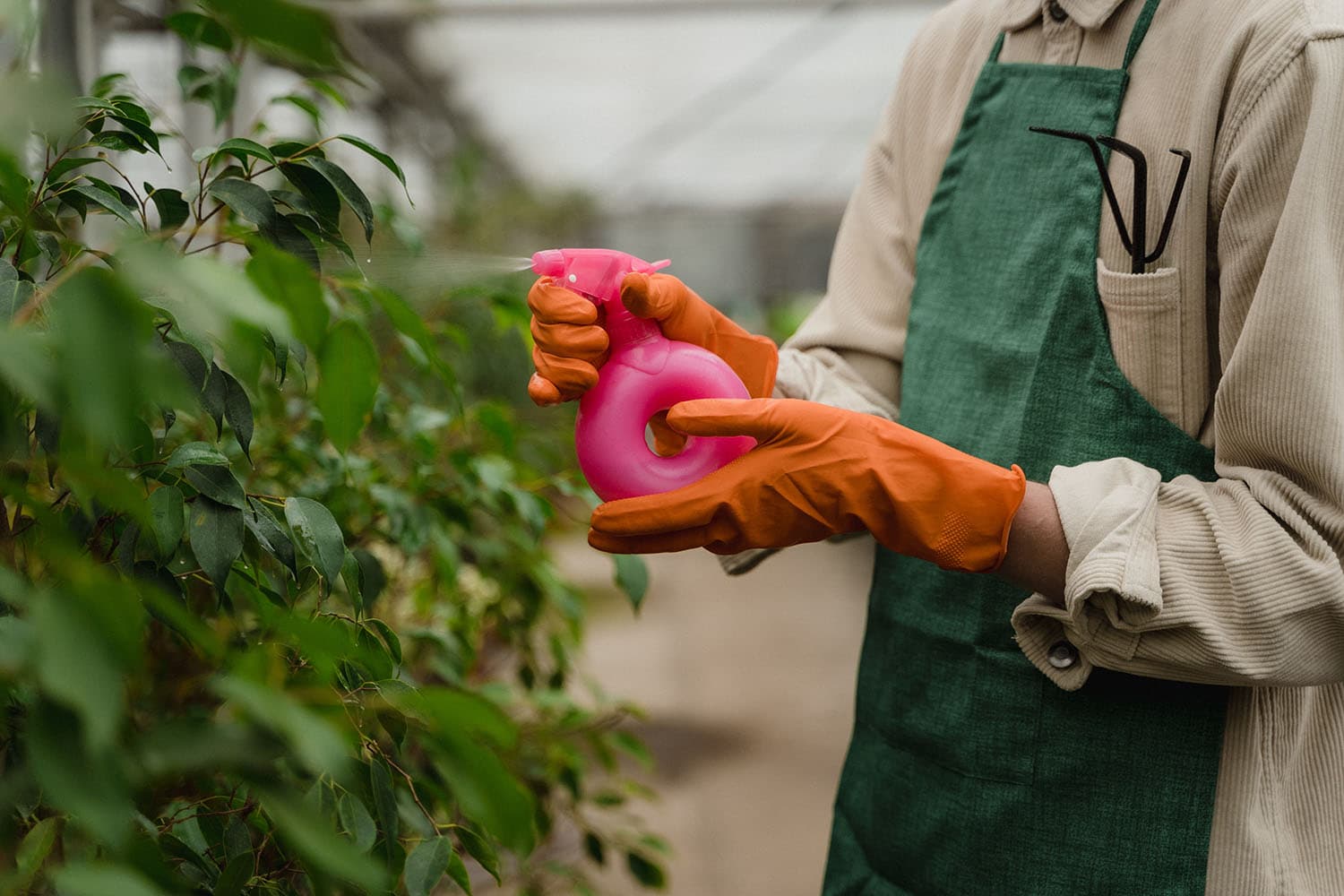 7 Manfaat Berkebun Untuk Kesehatan Saat Pandemi COVID-19